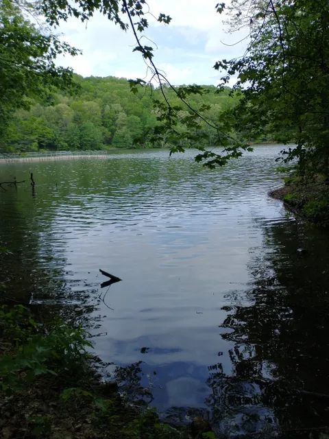 Rural Retreat Fishing Lake