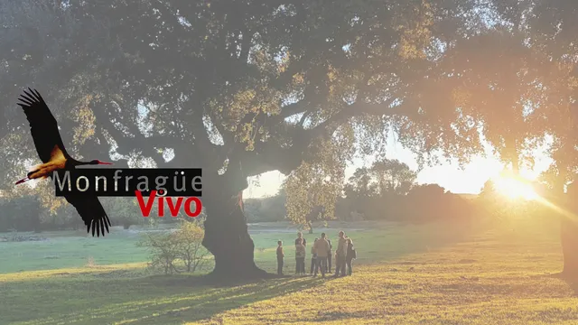 Monfragüe Vivo - Destino Activo