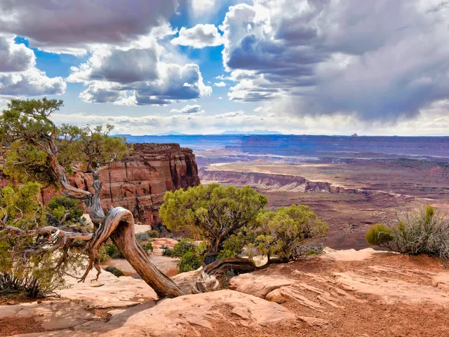 Orange Cliffs Overlook