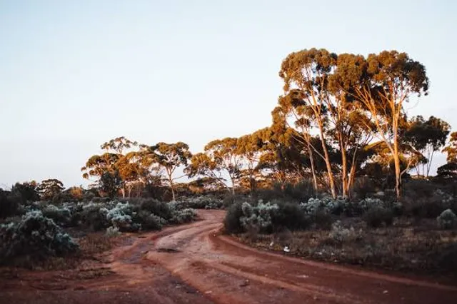 Karlkurla Bushland Park Entrance
