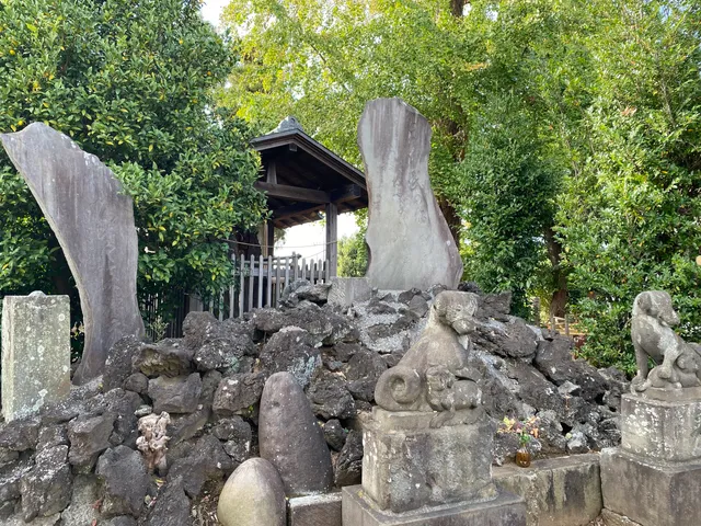 photo-1