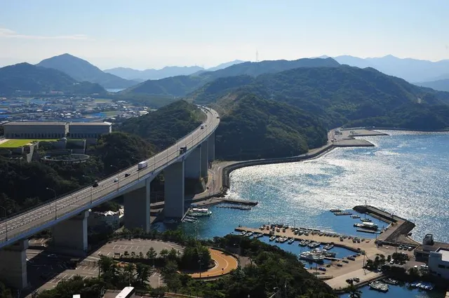 International Art Museum of America