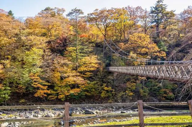 Nanatsuiwa Suspension Bridge