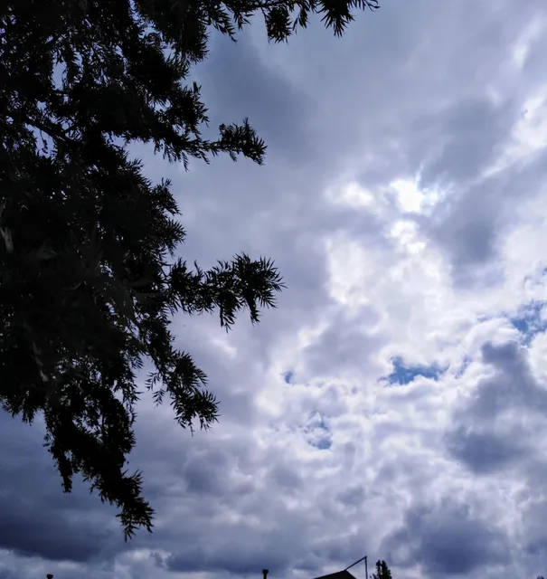 Roque Esteban Scarpa Park