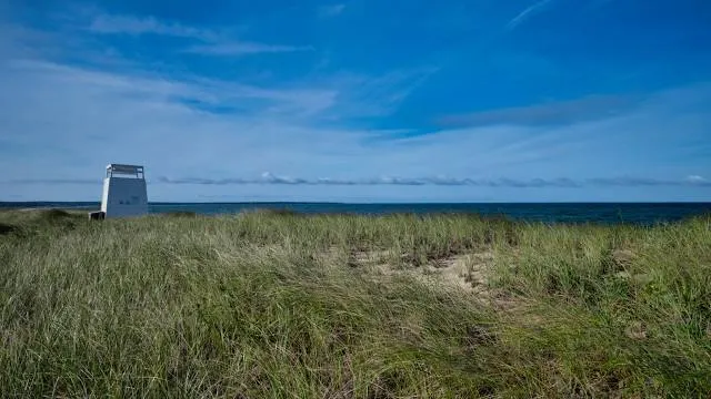 Edgartown Beach