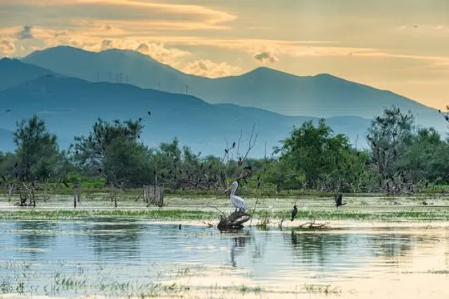 Sintiki Municipality