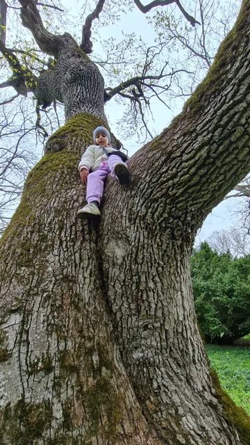 Perkal'skiy Dendrologicheskiy Park