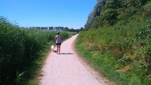 photo-2