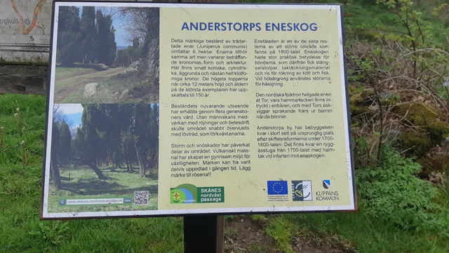 Anderstorps eneskog