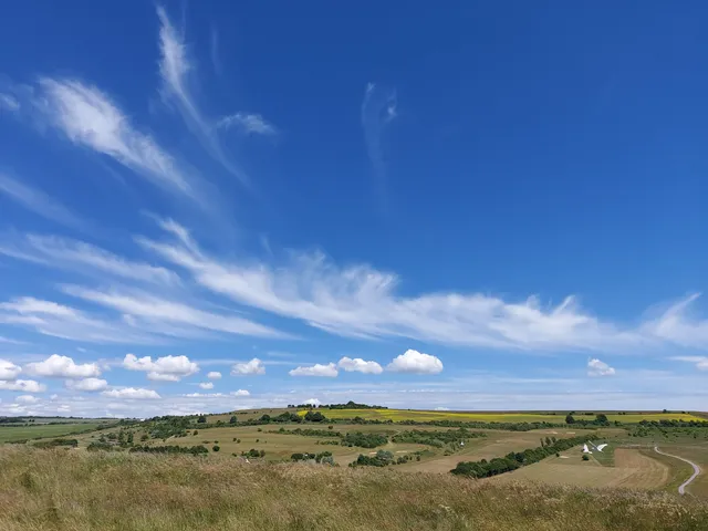 Benfield Hill Local Nature Reserve