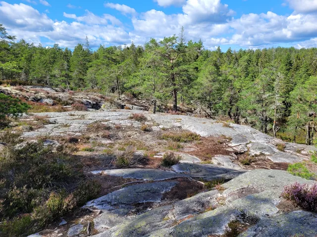 Sörknatten Baståsen Nature reserve