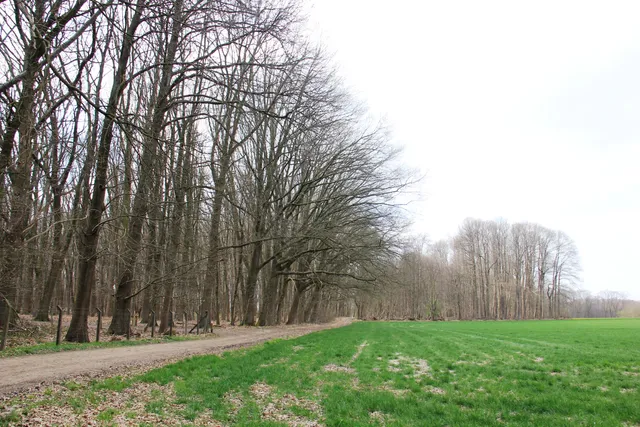 Kravaal - Kartelowandelpad