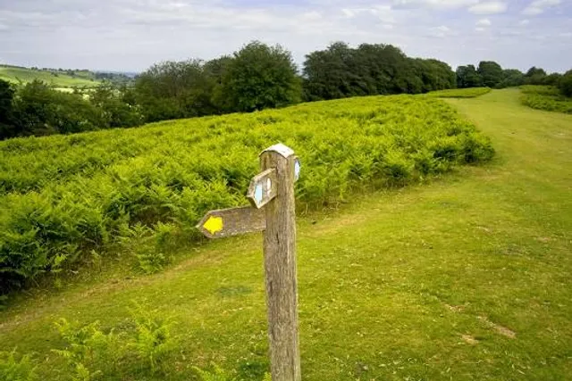 Hergest Ridge