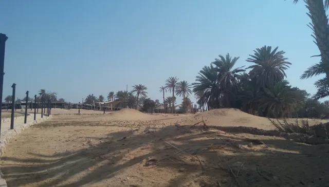 مزار عيون موسي