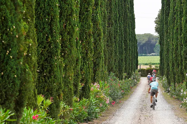 Azienda Agricola Chiappini