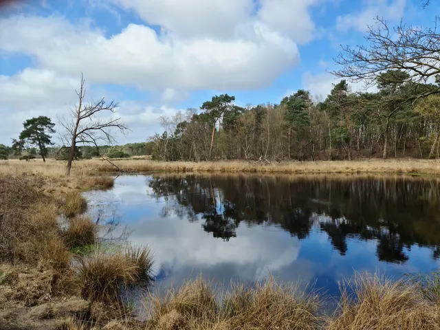 Smokkelroute Naar België