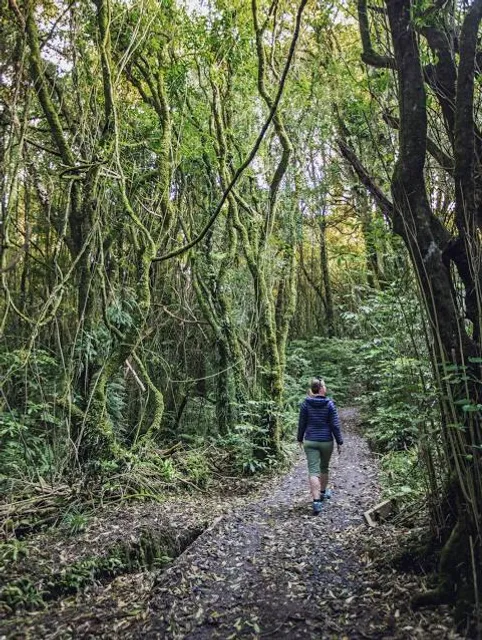 Rotokare Scenic Reserve