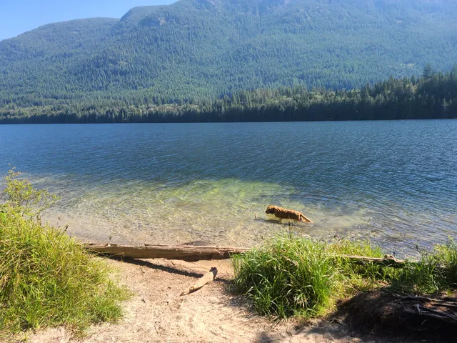 Area B (Paradise Valley)