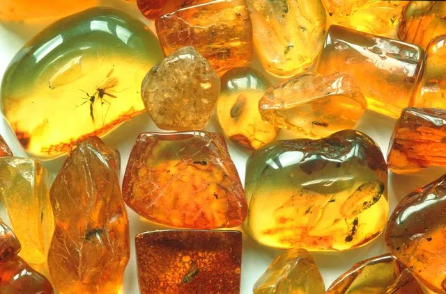 Kuji Amber Museum