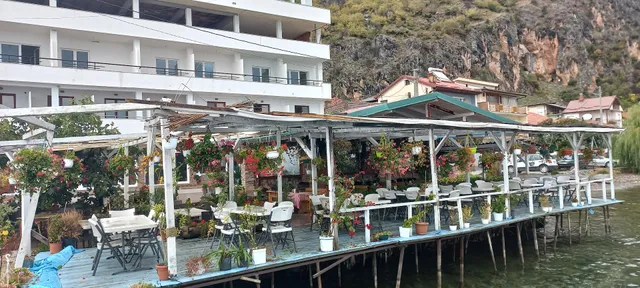 Вила „Радожда“