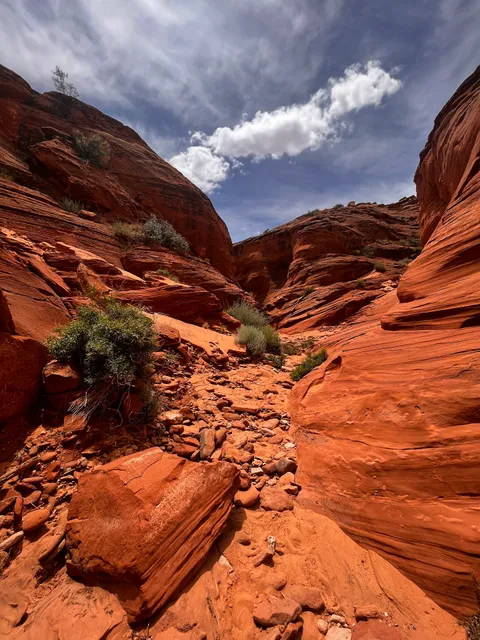 Antelope Hogan Canyon Tours, LLC
