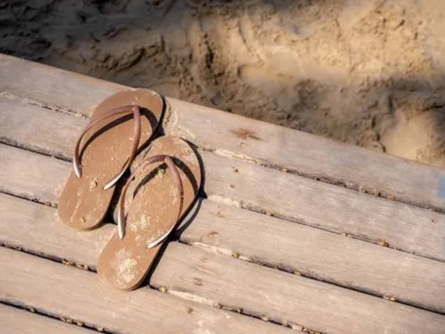 Nollenland van Abbestede