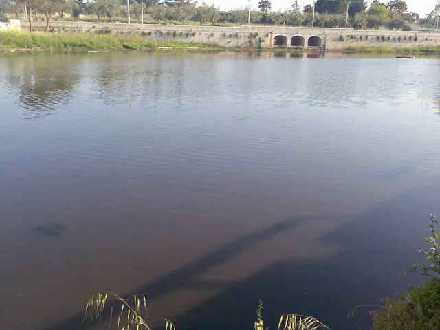 photo-3