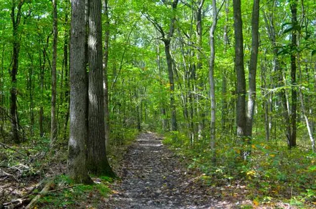 Welsh Mountain Nature Preserve