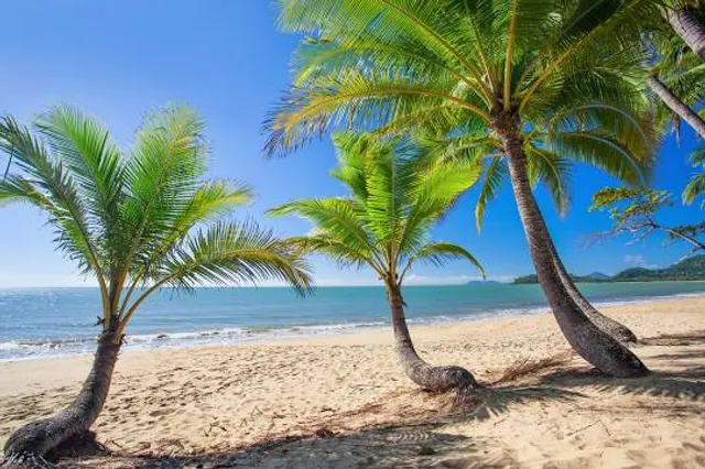 Palm Cove Beach