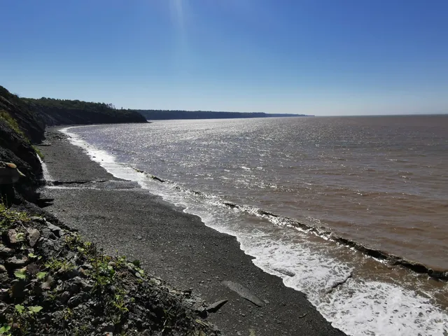 Joggins Fossil Cliffs & Centre
