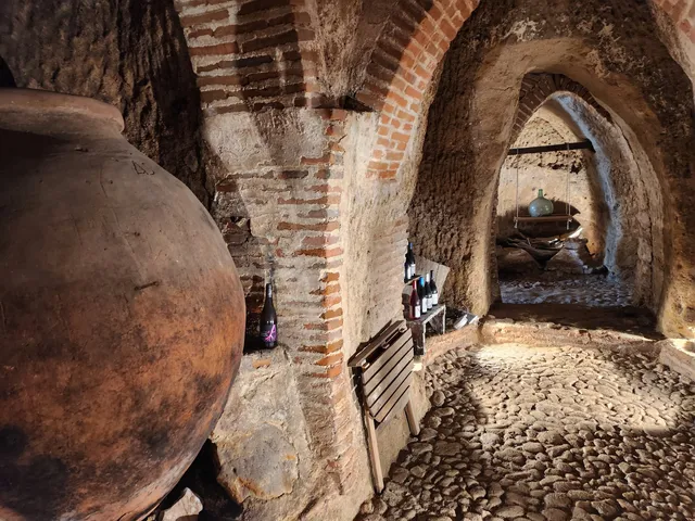 Museo de las Cuevas del Castillejo