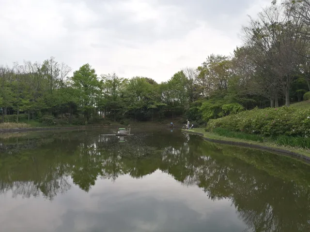 Yamazaki Park Pool