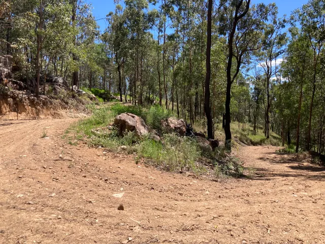 Mount Coot-tha Reserve