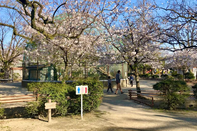 Kōno Park Mini Zoo