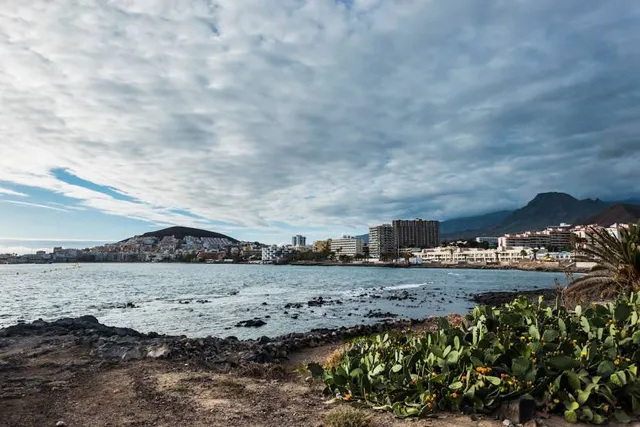 Playa De Los Tarajales