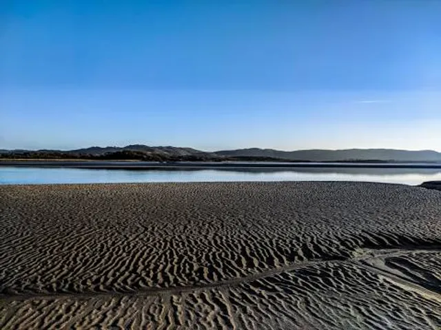 Roudsea Wood & Mosses National Nature Reserve