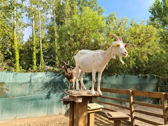 Discovery Farm Saint-André