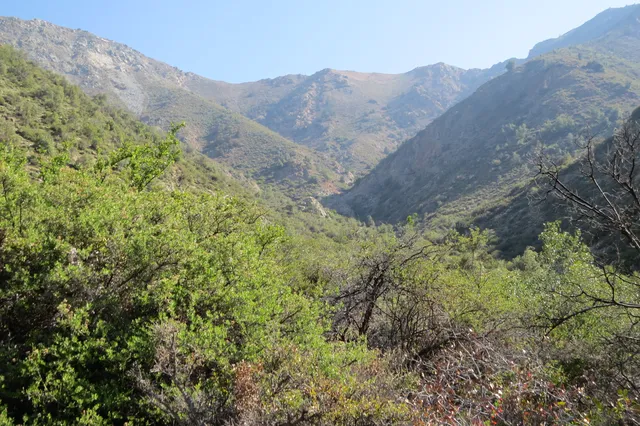 Santuario de la Naturaleza Serranía El Ciprés