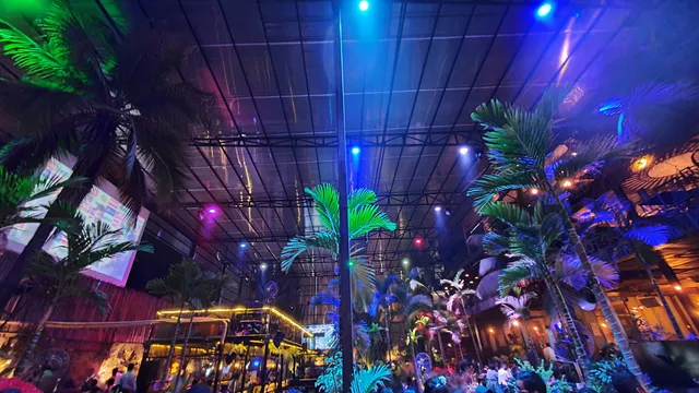 Hoot Brewery & Kitchen