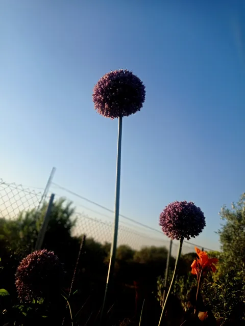 Aparcamiento Corredor Verde