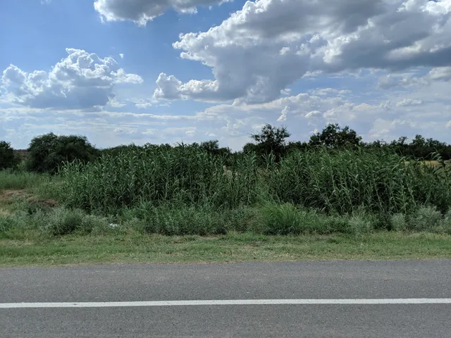 photo-1