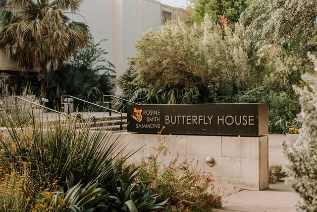 Texas Discovery Gardens