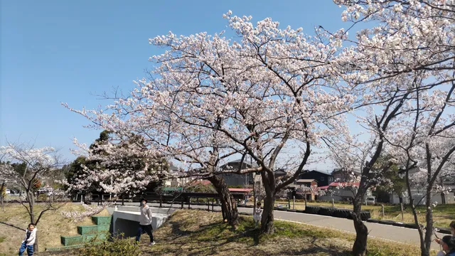 Joetstu Traffic Park