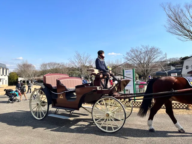 Miki Horse Land Park