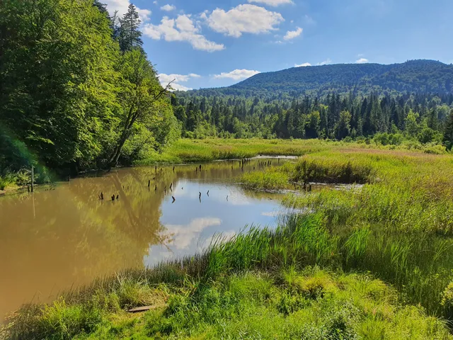 Jeziorka Bobrowe - platforma widokowa