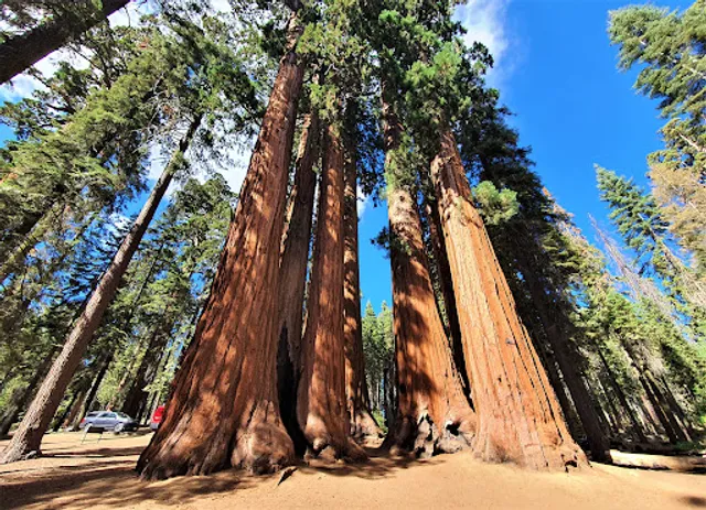 Sequoia & Kings Canyon National Parks