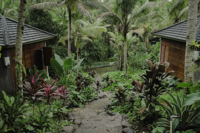 Bali Secret Jungle Retreat