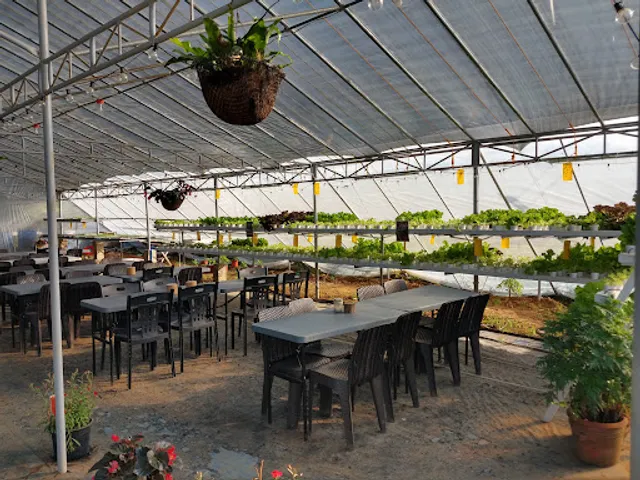 Mt. Banahaw Viewdeck & Cabin