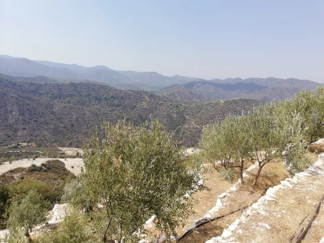 Terra Oliva Organic Olive Farm