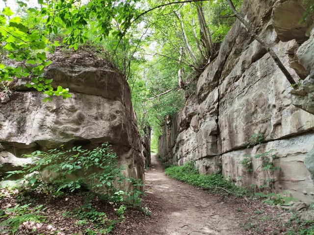 Sasso Spaccato (o Tassinara)